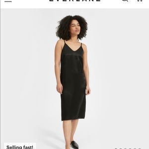 The party slip dress by everlane